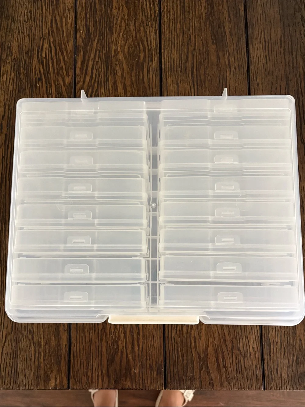 Plastic storage tote with individual containers